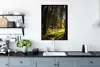 MuchoWow® Gerahmtes Poster Baum - Natur - Sonne - Wald Produktbild-Vorschau 3