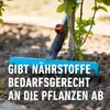 COMPO Bäume,Hecken, Sträucher Langzeit-Dünger - 2 kg für Produktbild-Vorschau 11