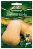 Butternutkürbis Early Butter | Butternutkürbissamen von Produktbild-Vorschau 1