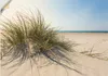 ARTland Wandbild, selbstklebend Strandgras Größe: 70x50 cm Produktbild-Vorschau 1