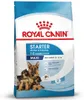 Pienso Royal Canin Maxi Starter Mutter & Babydo Aves 4 Kg Produktbild-Vorschau 2