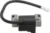 Module de bobine d'allumage du moteur 590454 692605 790817 Voir les images du produit 2