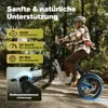 E Dreirad 48 V 25 Ah Akku, 100 km Reichweite, 180 kg Produktbild-Vorschau 5