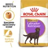 Royal Canin Labrador Retriever Sterilised, Dorosły, Podgląd zdjęcia produktu 2