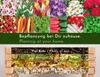 WONDERMAKE Hochbeet aus KIRSCHBAUM Holz groß für Garten Produktbild-Vorschau 5