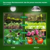 A split image showing plant growth stages before and after using a grow light. Anteprima dell’immagine prodotto