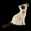 Plüsch-Siamkatze, 30 cm, umweltfreundlich Produktbild-Vorschau 5