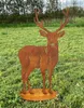 Hirsch nach vorne 95x54cm auf Platte Edelrost Gartendeko Produktbild-Vorschau 2