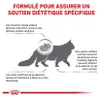 Tierärztliches Spezial-Trockenfutter für Katzen mit Produktbild-Vorschau 3