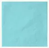 Tovaglioli Duni blu menta 33x33cm 3 veli 250 pezzi Anteprima dell’immagine prodotto 1