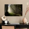 MuchoWow® Poster Wald - Baum - Nebel 60x40 cm - Produktbild-Vorschau 3