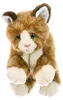 Living Puppets Handspieltiere kleine braune Katze Produktbild-Vorschau 2