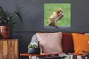 MuchoWow® Poster Affe - Zweig - Natur - Tiere 50x50 cm - Produktbild-Vorschau 2