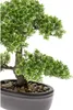 Szmaragdowa sztuczna roślina bonsai mini ficus zielony 32 Podgląd zdjęcia produktu 2
