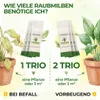 Raubmilben gegen Thripse, Spinnmilben & Weiße Fliegen - 1x Produktbild-Vorschau 4