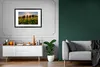 MuchoWow® Gerahmtes Poster Kühe - Sonne - Gras - Tiere - Produktbild-Vorschau 8