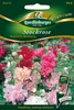 Stockrose 'Majorette' Mischung Quedlinburger Blumensamen Produktbild-Vorschau 1