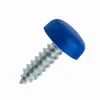 A single screw with a blue cap on a white background. Produktbild-Vorschau