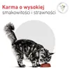 Royal Canin Veterinary Diet Feline Urinary S/O Moderate Anteprima dell’immagine prodotto 10