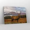 Bild auf Leinwand - Leinwandbild - Einteilig - Rehe Wiese Produktbild-Vorschau 4