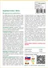 SAFLAX - Anjelská trúba / Biela - Brugmansia suaveolens - Náhľad obrázku produktu 3