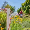 Gardena Basic Wasserspritzpistolen-Set Produktbild-Vorschau 8