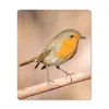 MuchoWow® Mauspad Mousepad Vogel - Zweig - Rotkehlchen Produktbild-Vorschau 1