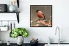 MuchoWow® Gerahmtes Poster Vogel - Laub - Herbst - Gimpel - Produktbild-Vorschau 3