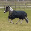A horse wearing a black and gold turnout rug is running in a grassy field with a wooden fence in the background. Produktbild-Vorschau