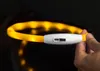 PRECORN LED USB-C Halsband Hund Silikon Hundehalsband Produktbild-Vorschau 6