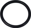 INTEX 10134 Joint torique pour tuyau - Pompe de filtration Voir les images du produit 1