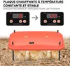 Fudajo Panneau chauffant – 40 x 60 cm – 66 W – pour élevage Voir les images du produit 2