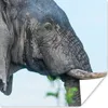 MuchoWow® Poster Nahaufnahme eines afrikanischen Elefanten Produktbild-Vorschau 1