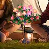 Two people sitting on the grass at night with a solar-powered flower light string in the foreground. Náhled obrázku produktu