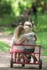 Winther 5703177000624, Junge/Mädchen, Frontantrieb, Kinder, Produktbild-Vorschau 8