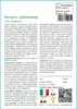 SAFLAX  - Fico sacro - 100 semi - Ficus Anteprima dell’immagine prodotto 3