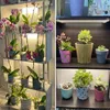 A collage of two images showing indoor plants on shelves with grow lights. Produktbild-Vorschau