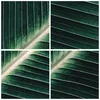 Bilder auf glas - Einteilig - Grün Blatt Tropisch - 30x30cm Produktbild-Vorschau 8