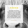 MuchoWow® - Leinwandbilder - Tiere - Schottischer Produktbild-Vorschau 8