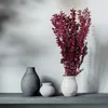 Ruscus Stabilisierte - (Ruscus) - Kirschrot Produktbild-Vorschau 3