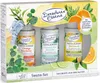 Dresdner Essenz Sauna-Set 3x20ml Sauna-Aufguss Produktbild-Vorschau 1