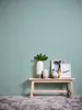 A minimalist interior scene with decorative objects on a wooden bench against a light green wall. Produktbild-Vorschau