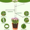 Diagram showing features of a plant grow light with a potted plant. Produktbild-Vorschau