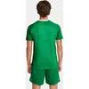 Craft Premier Solid Trikot Kurzarm Herren - Grün Produktbild-Vorschau 4