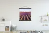 MuchoWow® Textilposter Lavendelfelder in der Provence in Produktbild-Vorschau 2