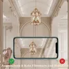 ZMH E14 LED Kaltweiß Glühbirnen Vintage - T25 LED Produktbild-Vorschau 8