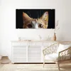 Glasbild 80x40cm in XXL für Wohnzimmer, Schlafzimmer Motiv Produktbild-Vorschau 3