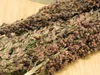 Getzoo Sudangras - getrocknet (Bund) Produktbild-Vorschau 2