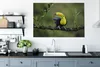OneMillionCanvasses® - Leinwandbilder - 140x90 cm, Ein Produktbild-Vorschau 4