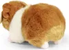 Peluche Porcellino d'India 20 Cm Ecologico Anteprima dell’immagine prodotto 4